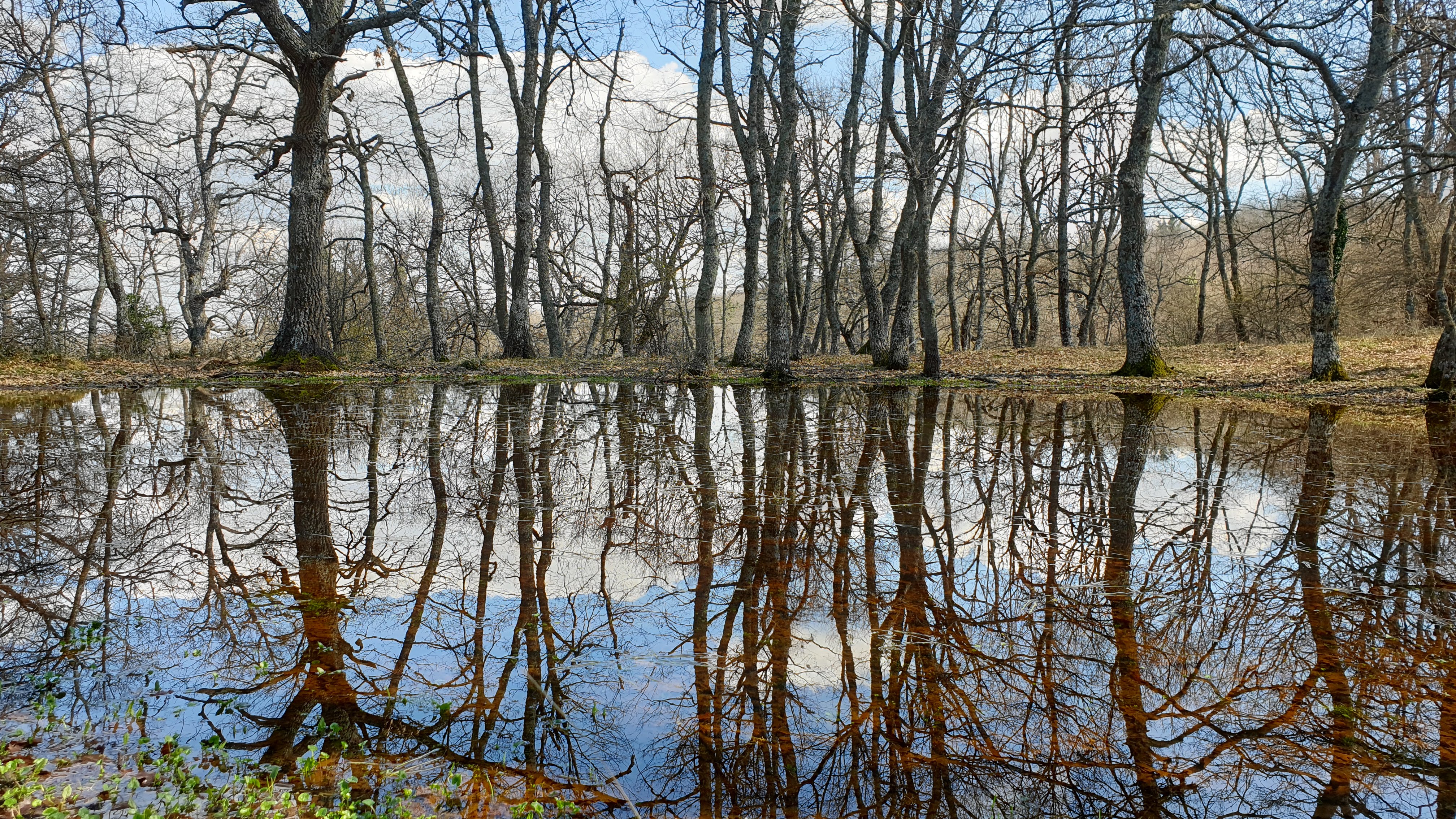 Acqua della sorgente, dettaglio